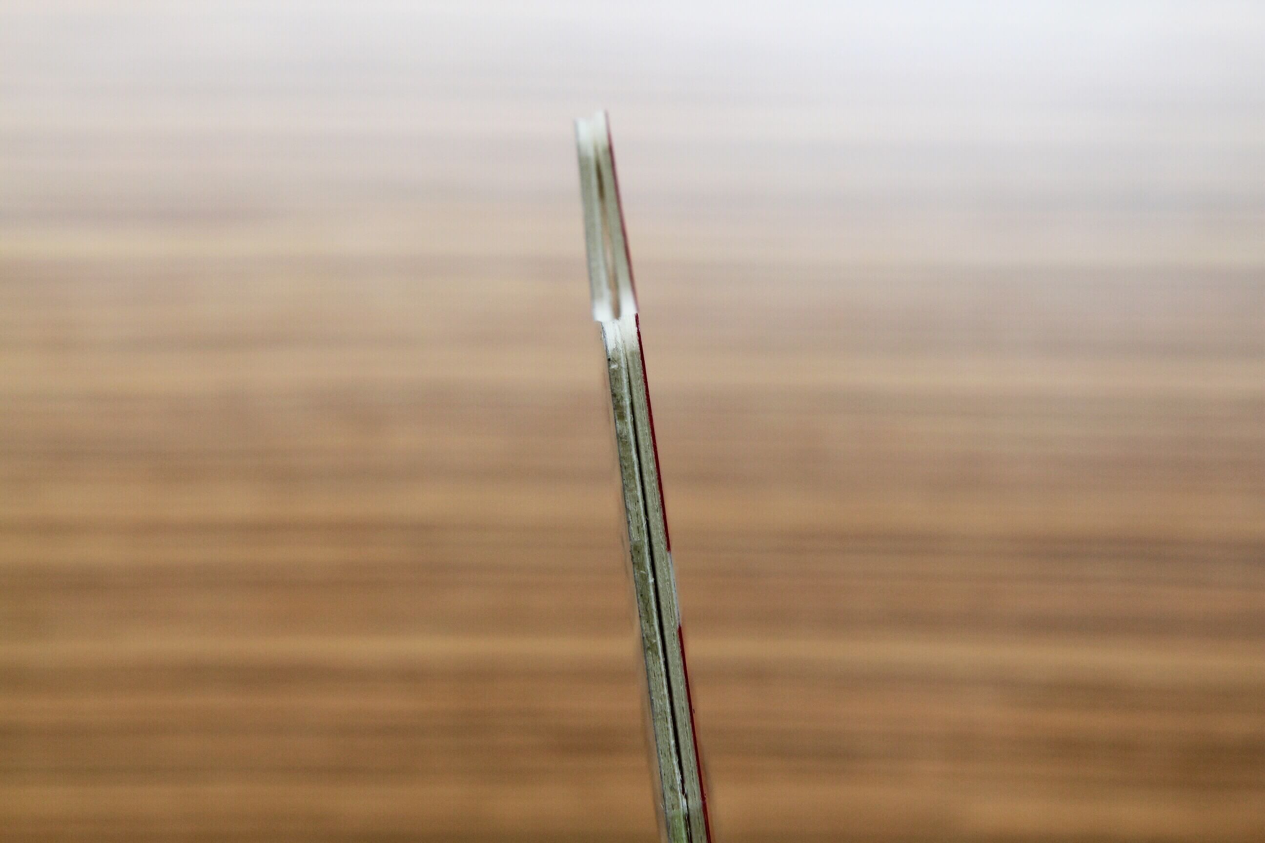 IMG_9529_20160815135931