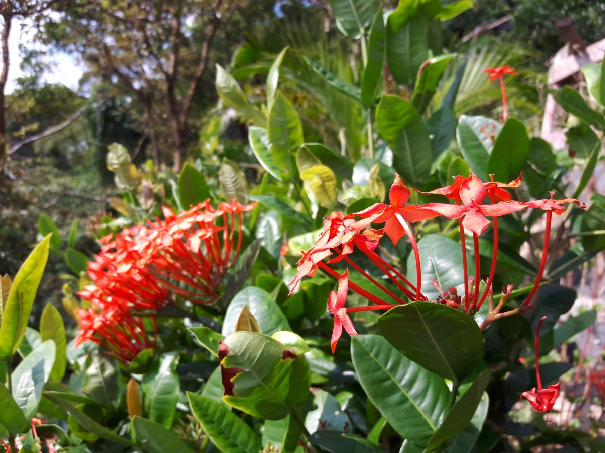 20161022_105931